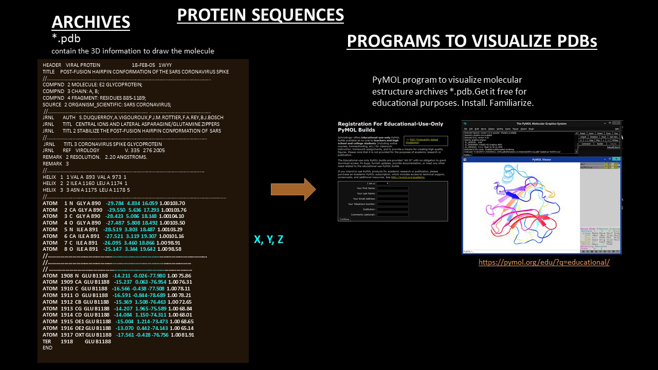 PROTEIN SEQUENCES