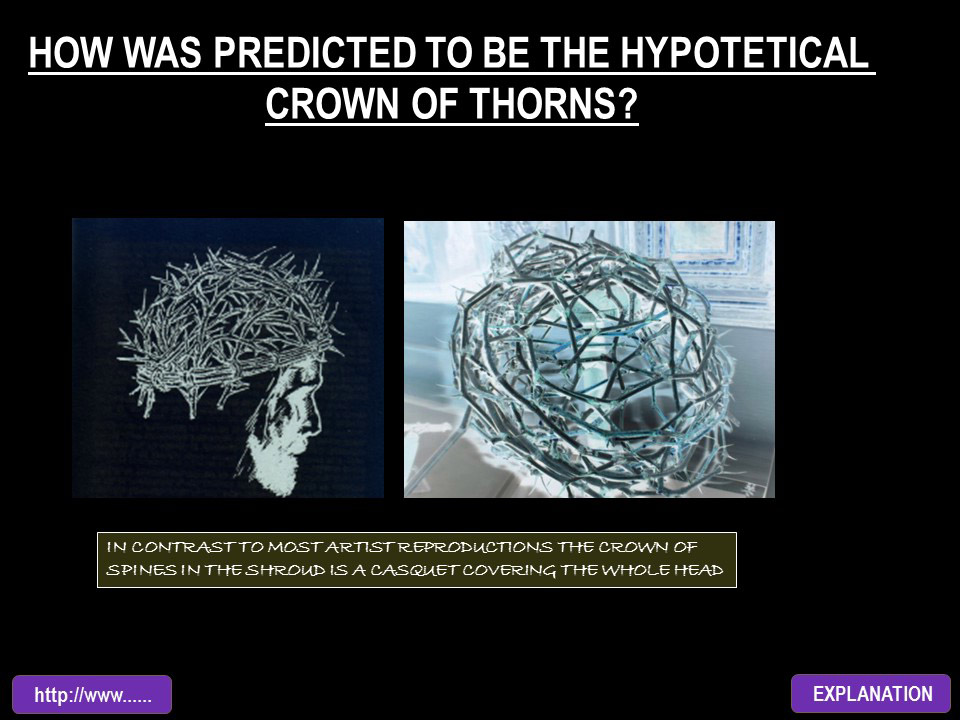 HOW WAS PREDICTED TO BE THE CROWN OF THORNS?